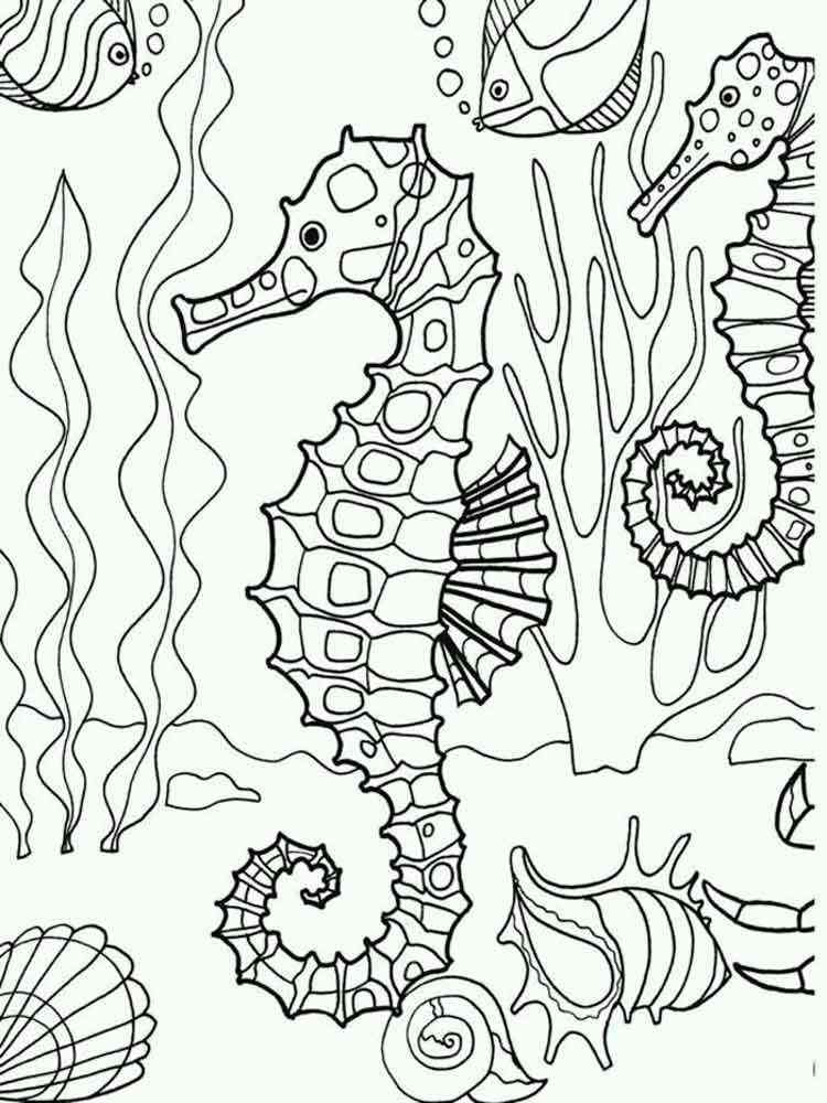 Seahorse Coloring Pages Download And Print Seahorse Coloring Pages 